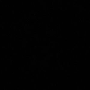 Meet your Posher, Liana